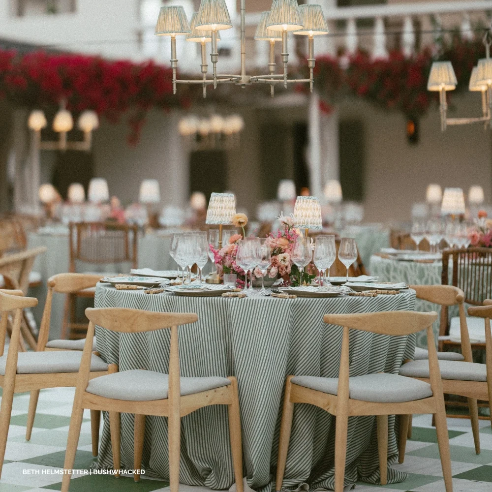 Kennedy Stripe Moss - Beth Helmstetter, Bushwhacked