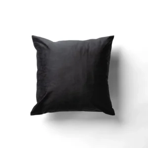 Black Velvet Pillow